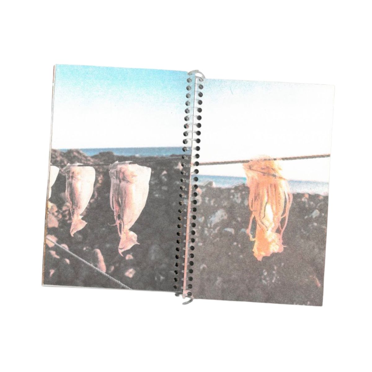 ICP Community Represented at ICP's Photobook Fest 2026